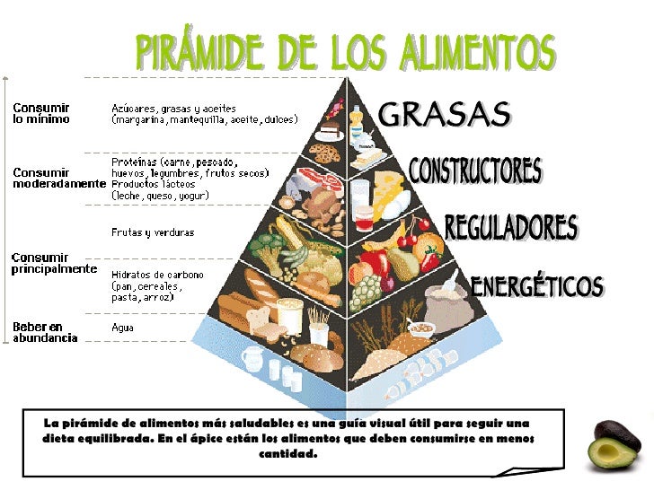 Proyect Piramide De Los Alimentos Proyect Piramide De Los Alimentos