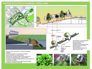Promociona el conocimiento y consumo de especies vegetales. Promociona hábitos de alimentación saludable . Aporta alimentos  a la canasta familiar. Reconstruye y fortalece el tejido social y promueve la formación de redes agricultores .y consumidores . Proporciona el dialogo intergeneracional, la recuperación y el intercambio de saberes.  contribuye a la autonomía de organizaciones sociales alrededor de iniciativas productivas. Recuperación y aprovechamiento de los espacios urbanos. Mejora el paisaje. Utilización de tecnologías limpias- aprovechamiento de residuos sólidos orgánicos. Aprovechamiento eficiente del agua lluvia para riego. 