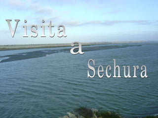 Visita a Sechura 