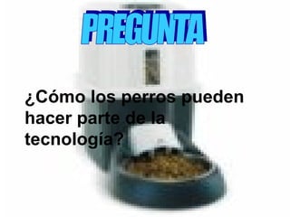 PREGUNTA ¿Cómo los perros pueden hacer parte de la tecnología?