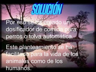SOLUCIÓN Por eso se ha creado un dosificador de comida para perros o tolva automática. Este planteamiento se ha facilitado para la vida de los animales como de los humanos.