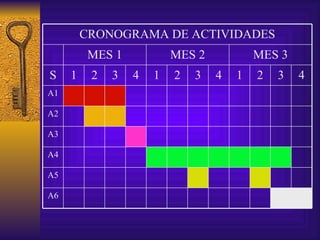 A6 A5 A4 A3 A2 A1 4 3 2 1 4 3 2 1 4 3 2 1 S MES 3 MES 2 MES 1 CRONOGRAMA DE ACTIVIDADES 