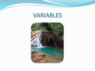 VARIABLES