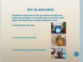 Plantar árboles: Plantar árbol: plantamos arbolitos en nuestros hogares, ya que esta es una forma sencilla y no muy costosa de apoyar al medio ambiente ya que producen la mayor parte del oxigeno que respiramos y eliminan el dióxido de carbono.