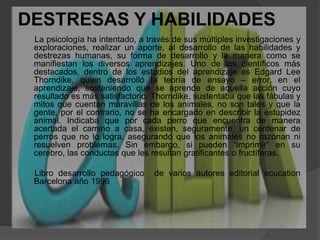 DESTRESAS Y HABILIDADES                  La psicología ha intentado, a través de sus múltiples investigaciones y exploraciones, realizar un aporte, al desarrollo de las habilidades y destrezas humanas, su forma de desarrollo y la manera como se manifiestan los diversos aprendizajes. Uno de los científicos más destacados, dentro de los estudios del aprendizaje es Edgard Lee Thorndike, quien desarrolló la teoría de ensayo – error, en el aprendizaje, sosteniendo que se aprende de aquella acción cuyo resultado es más satisfactorio. Thorndike, sustentaba que las fábulas y mitos que cuentan maravillas de los animales, no son tales y que la gente, por el contrario, no se ha encargado en describir la estupidez animal. Indicaba que por cada perro que encuentra de manera acertada el camino a casa, existen, seguramente, un centenar de perros que no lo logra, asegurando que los animales no razonan ni resuelven problemas. Sin embargo, si pueden “imprimir” en su cerebro, las conductas que les resultan gratificantes o fructíferas.       Libro desarrollo pedagógico  de varios autores editorial ecucationBarcelona año 1996