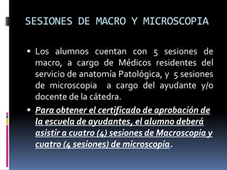 SESIONES DE MACRO Y MICROSCOPIALos alumnos cuentan con 5 sesiones de macro, a cargo de Médicos residentes del servicio de anatomía Patológica, y  5 sesiones de microscopia  a cargo del ayudante y/o docente de la cátedra.Para obtener el certificado de aprobación de la escuela de ayudantes, el alumno deberá asistir a cuatro (4) sesiones de Macroscopia y cuatro (4 sesiones) de microscopia.