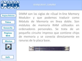 Pagina Anterior
                  DIMM son las siglas de «Dual In-line Memory
                  Module» y que podemos traducir como
   Video          Módulo de Memoria en línea doble. Son
                  módulos de memoria RAM utilizados en
 Encuesta
                  ordenadores personales. Se trata de un
  Páginas         pequeño circuito impreso que contiene chips
   Web
                  de memoria y se conecta directamente en
   Música         ranuras de la placa base.




    Salir
 