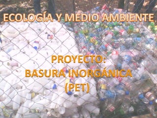 PROYECTO:
BASURA INORGÁNICA
      (PET)
 
