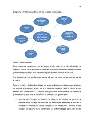 38


Diagrama 5.4: Identificación de efecto en cada involucrado.




Fuente: Elaboración propia.

Este diagrama representa que el mayor involucrado es la Municipalidad de
Copiapó, la que debe responsabilizarse por realizar la alternativa correspondiente
y debe entregar los recursos necesarios para que sea efectiva la solución.

5.4. Análisis de los involucrados desde el puto de vista de los efectos de la
solución.

Para la revisión de las alternativas, se analizan los involucrados desde el punto
de vista de sus efectos, o sea, no son parte del problema, pero si deben actuar
frente a esta problemática. El caso de esos grupos se analiza desde los beneficios
y costos que pueda traer el solucionar el conflicto. Los grupos son:

   -   Hospital de Copiapó: su función de atención al público en general, le
       permite llevar un registro de todas las atenciones referentes a ataques o
       mordeduras hechos por perros callejeros a los transeúntes, además puede
       realizar un registro de la transmisión de enfermedades por parte de los
 