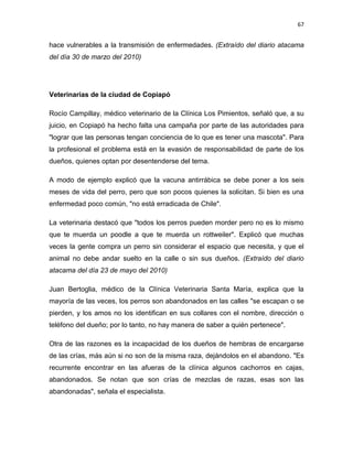 67


hace vulnerables a la transmisión de enfermedades. (Extraído del diario atacama
del día 30 de marzo del 2010)




Veterinarias de la ciudad de Copiapó

Rocío Campillay, médico veterinario de la Clínica Los Pimientos, señaló que, a su
juicio, en Copiapó ha hecho falta una campaña por parte de las autoridades para
"lograr que las personas tengan conciencia de lo que es tener una mascota". Para
la profesional el problema está en la evasión de responsabilidad de parte de los
dueños, quienes optan por desentenderse del tema.

A modo de ejemplo explicó que la vacuna antirrábica se debe poner a los seis
meses de vida del perro, pero que son pocos quienes la solicitan. Si bien es una
enfermedad poco común, "no está erradicada de Chile".

La veterinaria destacó que "todos los perros pueden morder pero no es lo mismo
que te muerda un poodle a que te muerda un rottweiler". Explicó que muchas
veces la gente compra un perro sin considerar el espacio que necesita, y que el
animal no debe andar suelto en la calle o sin sus dueños. (Extraído del diario
atacama del día 23 de mayo del 2010)

Juan Bertoglia, médico de la Clínica Veterinaria Santa María, explica que la
mayoría de las veces, los perros son abandonados en las calles "se escapan o se
pierden, y los amos no los identifican en sus collares con el nombre, dirección o
teléfono del dueño; por lo tanto, no hay manera de saber a quién pertenece".

Otra de las razones es la incapacidad de los dueños de hembras de encargarse
de las crías, más aún si no son de la misma raza, dejándolos en el abandono. "Es
recurrente encontrar en las afueras de la clínica algunos cachorros en cajas,
abandonados. Se notan que son crías de mezclas de razas, esas son las
abandonadas", señala el especialista.
 