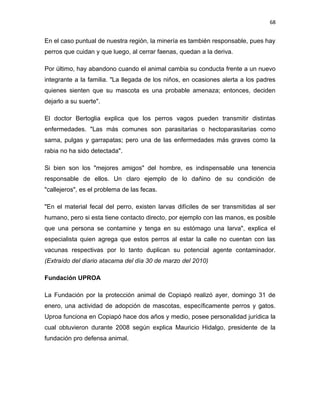 68


En el caso puntual de nuestra región, la minería es también responsable, pues hay
perros que cuidan y que luego, al cerrar faenas, quedan a la deriva.

Por último, hay abandono cuando el animal cambia su conducta frente a un nuevo
integrante a la familia. "La llegada de los niños, en ocasiones alerta a los padres
quienes sienten que su mascota es una probable amenaza; entonces, deciden
dejarlo a su suerte".

El doctor Bertoglia explica que los perros vagos pueden transmitir distintas
enfermedades. "Las más comunes son parasitarias o hectoparasitarias como
sarna, pulgas y garrapatas; pero una de las enfermedades más graves como la
rabia no ha sido detectada".

Si bien son los "mejores amigos" del hombre, es indispensable una tenencia
responsable de ellos. Un claro ejemplo de lo dañino de su condición de
"callejeros", es el problema de las fecas.

"En el material fecal del perro, existen larvas difíciles de ser transmitidas al ser
humano, pero si esta tiene contacto directo, por ejemplo con las manos, es posible
que una persona se contamine y tenga en su estómago una larva", explica el
especialista quien agrega que estos perros al estar la calle no cuentan con las
vacunas respectivas por lo tanto duplican su potencial agente contaminador.
(Extraído del diario atacama del día 30 de marzo del 2010)

Fundación UPROA

La Fundación por la protección animal de Copiapó realizó ayer, domingo 31 de
enero, una actividad de adopción de mascotas, específicamente perros y gatos.
Uproa funciona en Copiapó hace dos años y medio, posee personalidad jurídica la
cual obtuvieron durante 2008 según explica Mauricio Hidalgo, presidente de la
fundación pro defensa animal.
 