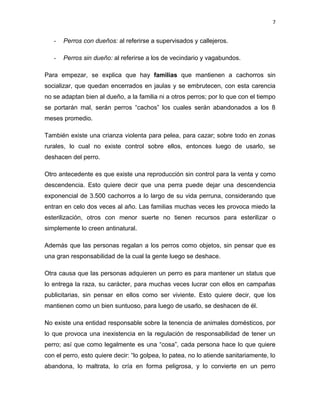 7


   -   Perros con dueños: al referirse a supervisados y callejeros.

   -   Perros sin dueño: al referirse a los de vecindario y vagabundos.

Para empezar, se explica que hay familias que mantienen a cachorros sin
socializar, que quedan encerrados en jaulas y se embrutecen, con esta carencia
no se adaptan bien al dueño, a la familia ni a otros perros; por lo que con el tiempo
se portarán mal, serán perros “cachos” los cuales serán abandonados a los 8
meses promedio.

También existe una crianza violenta para pelea, para cazar; sobre todo en zonas
rurales, lo cual no existe control sobre ellos, entonces luego de usarlo, se
deshacen del perro.

Otro antecedente es que existe una reproducción sin control para la venta y como
descendencia. Esto quiere decir que una perra puede dejar una descendencia
exponencial de 3.500 cachorros a lo largo de su vida perruna, considerando que
entran en celo dos veces al año. Las familias muchas veces les provoca miedo la
esterilización, otros con menor suerte no tienen recursos para esterilizar o
simplemente lo creen antinatural.

Además que las personas regalan a los perros como objetos, sin pensar que es
una gran responsabilidad de la cual la gente luego se deshace.

Otra causa que las personas adquieren un perro es para mantener un status que
lo entrega la raza, su carácter, para muchas veces lucrar con ellos en campañas
publicitarias, sin pensar en ellos como ser viviente. Esto quiere decir, que los
mantienen como un bien suntuoso, para luego de usarlo, se deshacen de él.

No existe una entidad responsable sobre la tenencia de animales domésticos, por
lo que provoca una inexistencia en la regulación de responsabilidad de tener un
perro; así que como legalmente es una “cosa”, cada persona hace lo que quiere
con el perro, esto quiere decir: “lo golpea, lo patea, no lo atiende sanitariamente, lo
abandona, lo maltrata, lo cría en forma peligrosa, y lo convierte en un perro
 