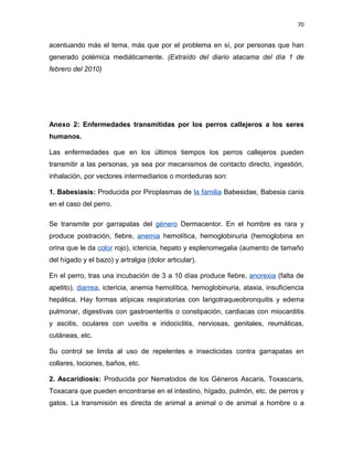70


acentuando más el tema, más que por el problema en sí, por personas que han
generado polémica mediáticamente. (Extraído del diario atacama del día 1 de
febrero del 2010)




Anexo 2: Enfermedades transmitidas por los perros callejeros a los seres
humanos.

Las enfermedades que en los últimos tiempos los perros callejeros pueden
transmitir a las personas, ya sea por mecanismos de contacto directo, ingestión,
inhalación, por vectores intermediarios o mordeduras son:

1. Babesiasis: Producida por Piroplasmas de la familia Babesidae, Babesia canis
en el caso del perro.

Se transmite por garrapatas del género Dermacentor. En el hombre es rara y
produce postración, fiebre, anemia hemolítica, hemoglobinuria (hemoglobina en
orina que le da color rojo), ictericia, hepato y esplenomegalia (aumento de tamaño
del hígado y el bazo) y artralgia (dolor articular).

En el perro, tras una incubación de 3 a 10 días produce fiebre, anorexia (falta de
apetito), diarrea, ictericia, anemia hemolítica, hemoglobinuria, ataxia, insuficiencia
hepática. Hay formas atípicas respiratorias con larigotraqueobronquitis y edema
pulmonar, digestivas con gastroenteritis o constipación, cardiacas con miocarditis
y ascitis, oculares con uveítis e iridociclitis, nerviosas, genitales, reumáticas,
cutáneas, etc.

Su control se limita al uso de repelentes e insecticidas contra garrapatas en
collares, lociones, baños, etc.

2. Ascaridiosis: Producida por Nematodos de los Géneros Ascaris, Toxascaris,
Toxacara que pueden encontrarse en el intestino, hígado, pulmón, etc. de perros y
gatos. La transmisión es directa de animal a animal o de animal a hombre o a
 