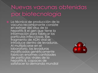    La técnica de producción de la
    vacuna recombinante consiste
    en extraer del virus de la
    hepatitis B el gen que tiene la
    información para fabricar las
    partículas infecciosas. Ese
    fragmento de ADN viral se
    introduce dentro de levaduras.
    Al multiplicarse en el
    laboratorio, las levaduras
    modificadas genéticamente
    fabrican enormes cantidades
    de partículas virales de la
    hepatitis B, capaces de
    satisfacer la demanda mundial
 