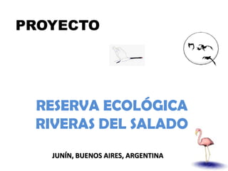 PROYECTO




 RESERVA ECOLÓGICA
 RIVERAS DEL SALADO
   JUNÍN, BUENOS AIRES, ARGENTINA
 
