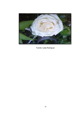 Fuente: Leidy Rodríguez




          13
 