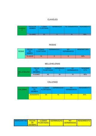 CLAVELES


               FECHA DE             LLEMAS              GERMINADAS       NO GERMINARON   RENDIMIENTO
   CLAVELE     SIEMBRA            PLANTADAS
      S


                10-JUNIO               20                     5                15            90%




                                                      ROSAS

             FECHA           LLEMAS               GERMINADAS               NO         RENDIMITOEN
  ROSAS        DE          PLANTADAS                                   GERMINARON
             SIMBRA
             12-JULIO             10                     5                 5               50%



                                            BELLEHELENAS

                       FECHA             LLEMAS           GERMINADA            NO          RENDIMIE
                         DE            PLANTADAS              S            GERMINARON        NTO
  BELLEHELENA         SIEMBRA
  S                     8-JUNIO                  40               30            10           90%



                                                 CALLENAS

                   FECHA             LLEMAS             GERMINADAS           NO          RENDIMIENTO
  CALLENAS           DE            PLANTADAS                             GERMINARON
                  SIEMBRA

                 20-AGOSTO                  20                10               10           50%




MARGARITAS      FECHA    LLEMAS  GERMINADAS     NO                                    RENDIMIENTO
                  DE   PLANTADAS  32        GERMINADAS
               SIEMBRA
 