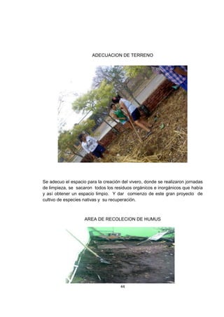 ADECUACION DE TERRENO




Se adecuo el espacio para la creación del vivero, donde se realizaron jornadas
de limpieza, se sacaron todos los residuos orgánicos e inorgánicos que había
y así obtener un espacio limpio. Y dar comienzo de este gran proyecto de
cultivo de especies nativas y su recuperación.



                    AREA DE RECOLECION DE HUMUS




                                     44
 
