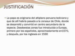 JUSTIFICACIÓN

 La papa es originaria del altiplano peruano-boliviano y
  que de allí habría pasado a la zonasur de Chile, donde
  se desarrolló y convirtió en centro secundario de la
  especie. Desdeestas zonas fue introducida a Europa,
  primero por los españoles, aproximadamente en1570,
  y después, por los ingleses en 1590
 