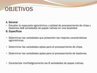 OBJETIVOS
A. General
 Estudiar la respuesta agronómica y calidad de procesamiento de chips y
   bastones de8 variedades de papas nativas en una localidad.
B. Específicos

 Determinar las variedades que presenten las mejores características
  agronómicas.

 Determinar las variedades aptas para el procesamiento de chips.

 Determinar las variedades aptas para el procesamiento de bastones.


 Caracterizar morfológicamente las 8 variedades de papas nativas.
 