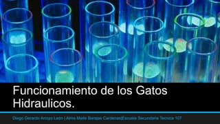 Funcionamiento de los Gatos
Hidraulicos.
Diego Gerardo Arroyo León | Alma Maite Barajas Cardenas|Escuela Secundaria Tecnica 107
 