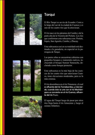 Tarqui
El Río Tarqui es un río de Ecuador. Corre a
lo largo del sur de la ciudad de Cuenca y es
uno de los cuatro ríos que la atraviesan.

El río nace en los páramos de Cumbe y de la
parte alta de la Victoria del Portete. Los ríos
que conforman esta subcuenca son: Portete,
Irquis, San Agustín, Cumbe y Zhucay.

Esta subcuenca casi en su totalidad está des-
tinada a la ganadería, en especial en la pa-
rroquia de Tarqui.

Las partes altas se encuentran cubiertas con
pequeños bosques y matorrales nativos, in-
cluyendo el bosque Sunsun Yanasacha, de-
clarado como bosque protector.

Esta subcuenca es la más baja de las cuen-
cas de los cuatro ríos que atraviesan Cuen-
ca, tiene elevaciones moderadas, pero es la
más extensa.

El río desemboca en el río Yanuncay, el cual
es afluente del río Tomebamba, y más tar-
de, cuando éste se une con el río Machán-
gara se convierte en el río Cuenca, afluen-
te del río Paute.

El agua del Tarqui luego de pasar por otros
ríos llega hasta el río Amazonas y luego al
océano Atlántico.
 