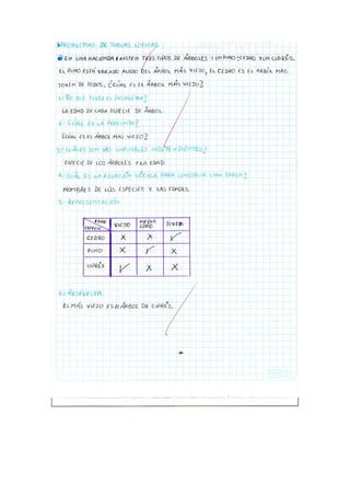 Proyecto Resolucion de problemas.