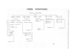 Proyecto Resolucion de problemas.