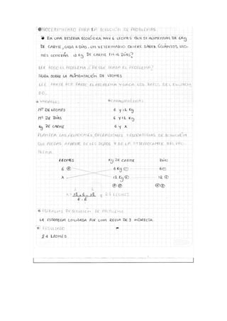 Proyecto Resolucion de problemas.