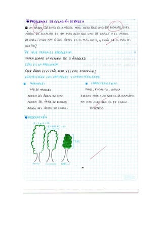 Proyecto Resolucion de problemas.