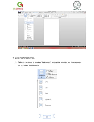 Y para insertar columnas.
1. Seleccionaremos la opción “Columnas” y en esta también se desplegaran
las opciones de columnas.

13

 