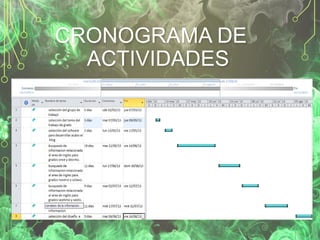 CRONOGRAMA DE
ACTIVIDADES

 