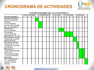 CRONOGRAMA DE ACTIVIDADES