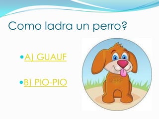 Como ladra un perro?
A) GUAUF
B) PIO-PIO

 