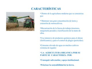 CARACTERÍSTICAS
• Dentro de la agricultura moderna que se caracteriza
por:
• Mantener una gran concentración de tierra y
extensión de monocultivos.
•Mecanización de la fuerza de trabajo (tractores,
maquinaria pesada) y tecnificación de la mano de
obra.
•Uso intensivo de productos químicos para el abono
(fertilizantes) y para el control de plagas (pesticidas).
•Consumo elevado de agua en muchos cultivos
(sistema de regado)
• LA AGRICULTURA ORGANICA POR SU
PARTE SE CARACTERIZA POR:
•Conseguir subvención y apoyo institucional.
•Priorizar la sostenibilidad de la tierra.

 