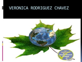 VERONICA RODRIGUEZ CHAVEZ
 