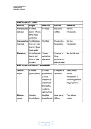 CELTI ITZEL FLORES REYES 
5 BACHILLERATO 
CIENCIAS DE LA SALUD 
10 
 
