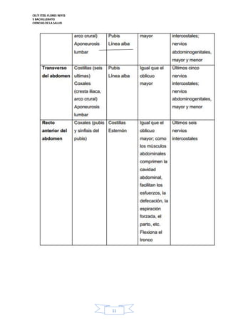 CELTI ITZEL FLORES REYES 
5 BACHILLERATO 
CIENCIAS DE LA SALUD 
11 
 