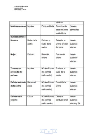 CELTI ITZEL FLORES REYES 
5 BACHILLERATO 
CIENCIAS DE LA SALUD 
13 
 