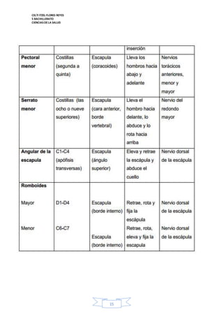 CELTI ITZEL FLORES REYES 
5 BACHILLERATO 
CIENCIAS DE LA SALUD 
15 
 