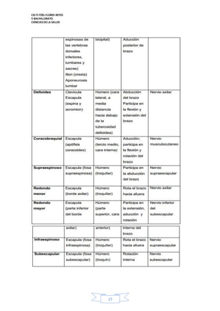 CELTI ITZEL FLORES REYES 
5 BACHILLERATO 
CIENCIAS DE LA SALUD 
17 
 