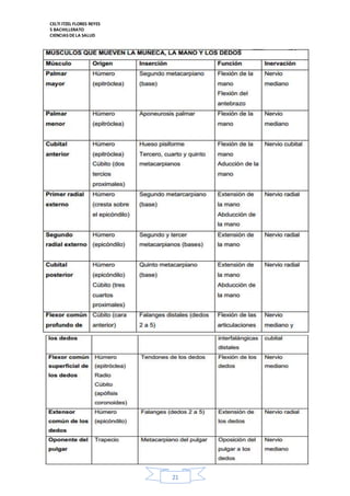 CELTI ITZEL FLORES REYES 
5 BACHILLERATO 
CIENCIAS DE LA SALUD 
21 
 