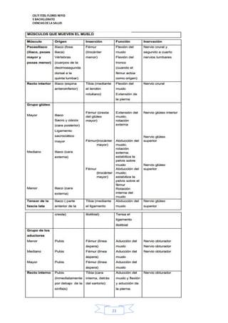CELTI ITZEL FLORES REYES 
5 BACHILLERATO 
CIENCIAS DE LA SALUD 
23 
 