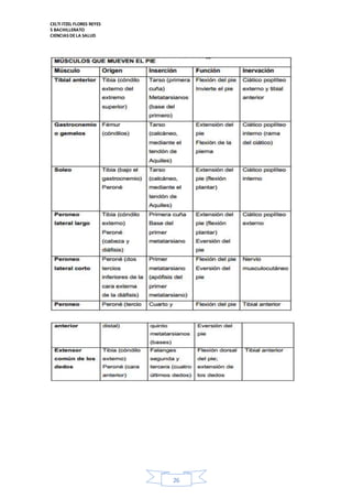 CELTI ITZEL FLORES REYES 
5 BACHILLERATO 
CIENCIAS DE LA SALUD 
26 
 
