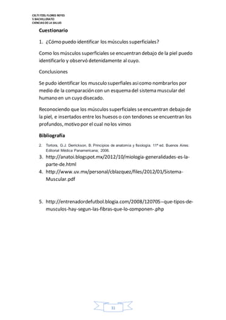 CELTI ITZEL FLORES REYES 
5 BACHILLERATO 
CIENCIAS DE LA SALUD 
31 
Cuestionario 
1. ¿Cómo puedo identificar los músculos superficiales? 
Como los músculos superficiales se encuentran debajo de la piel puedo 
identificarlo y observó detenidamente al cuyo. 
Conclusiones 
Se pudo identificar los musculo superfiales asi como nombrarlos por 
medio de la comparación con un esquema del sistema muscular del 
humano en un cuyo disecado. 
Reconociendo que los músculos superficiales se encuentran debajo de 
la piel, e insertados entre los huesos o con tendones se encuentran los 
profundos, motivo por el cual no los vimos 
Bibliografía 
2. Tortora, G.J. Derrickson, B. Principios de anatomía y fisiología. 11ª ed. Buenos Aires: 
Editorial Médica Panamericana; 2006. 
3. http://anatoi.blogspot.mx/2012/10/miologia-generalidades-es-la-parte- 
de.html 
4. http://www.uv.mx/personal/cblazquez/files/2012/01/Sistema- 
Muscular.pdf 
5. http://entrenadordefutbol.blogia.com/2008/120705--que-tipos-de-musculos- 
hay-segun-las-fibras-que-lo-componen-.php 

