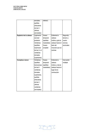 CELTI ITZEL FLORES REYES 
5 BACHILLERATO 
CIENCIAS DE LA SALUD 
7 
 