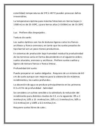 esterilidad; temperaturas de 5ºC ó 40 ºC pueden provocar daños
irreversibles.
La temperatura óptima para máxima fotosíneis en tierras bajas (<
1500 m) es de 25-30ºC, y para tierras altas (>1500m) es de 15-20ºC
.
Luz: Prefiere días despejados .
Textura de suelo:
Los suelos óptimos son los de texturas ligeras como los franco-
arcillosos y franco-arenosos; en tanto que los suelos pesados de
tipo barrial son un poco menos productivos .
En sistemas de producción bajo humedad residual la productividad
de los terrenos varía en forma descendente en el siguiente orden:
suelos aluviales, arenosos y arcillosos . Prefiere suelos sueltos y
ligeros de textura franca o franca limosa .
Profundidad del suelo:
Puede prosperar en suelos delgados . Requiere de un mínimo de 60
cm de suelo aunque son mejores para la obtención de máximos
rendimientos, los suelos profundos .
La absorción de agua se produce principalmente en los primeros
0.5 a 0.7m de profundidad . Salinidad:
Se considera un cultivo sensible a la salinidad y la reducción del
rendimiento para distintos niveles de C.E. es la siguiente: 0% a 1
mmhos/cm; 10% a 15 mmhos/cm; 25% a 2.3 mmhos/cm; 50% a
3.6 mmhos/cm y 100% a 6.5 mmhos/cm .
Requiere suelos libres de sales .
 