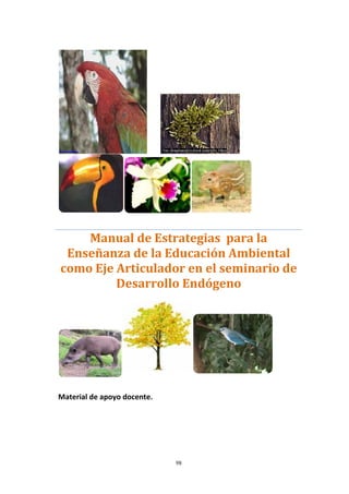        
 
 
 
 
 
Manual de Estrategias  para la 
Enseñanza de la Educación Ambiental 
como Eje Articulador en el seminario de 
Desarrollo Endógeno 
 
 
Material de apoyo docente. 
98
 