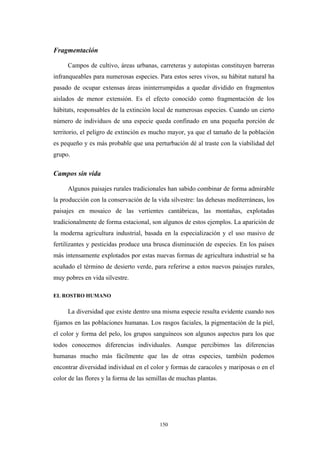 Fragmentación
Campos de cultivo, áreas urbanas, carreteras y autopistas constituyen barreras
infranqueables para numerosas especies. Para estos seres vivos, su hábitat natural ha
pasado de ocupar extensas áreas ininterrumpidas a quedar dividido en fragmentos
aislados de menor extensión. Es el efecto conocido como fragmentación de los
hábitats, responsables de la extinción local de numerosas especies. Cuando un cierto
número de individuos de una especie queda confinado en una pequeña porción de
territorio, el peligro de extinción es mucho mayor, ya que el tamaño de la población
es pequeño y es más probable que una perturbación dé al traste con la viabilidad del
grupo.
Campos sin vida
Algunos paisajes rurales tradicionales han sabido combinar de forma admirable
la producción con la conservación de la vida silvestre: las dehesas mediterráneas, los
paisajes en mosaico de las vertientes cantábricas, las montañas, explotadas
tradicionalmente de forma estacional, son algunos de estos ejemplos. La aparición de
la moderna agricultura industrial, basada en la especialización y el uso masivo de
fertilizantes y pesticidas produce una brusca disminución de especies. En los países
más intensamente explotados por estas nuevas formas de agricultura industrial se ha
acuñado el término de desierto verde, para referirse a estos nuevos paisajes rurales,
muy pobres en vida silvestre.
EL ROSTRO HUMANO
La diversidad que existe dentro una misma especie resulta evidente cuando nos
fijamos en las poblaciones humanas. Los rasgos faciales, la pigmentación de la piel,
el color y forma del pelo, los grupos sanguíneos son algunos aspectos para los que
todos conocemos diferencias individuales. Aunque percibimos las diferencias
humanas mucho más fácilmente que las de otras especies, también podemos
encontrar diversidad individual en el color y formas de caracoles y mariposas o en el
color de las flores y la forma de las semillas de muchas plantas.
150
 