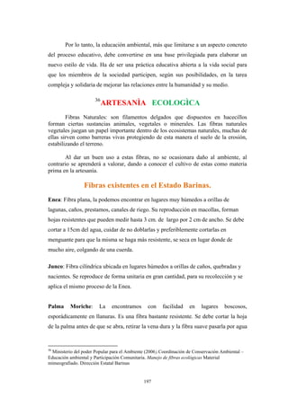 Por lo tanto, la educación ambiental, más que limitarse a un aspecto concreto
del proceso educativo, debe convertirse en una base privilegiada para elaborar un
nuevo estilo de vida. Ha de ser una práctica educativa abierta a la vida social para
que los miembros de la sociedad participen, según sus posibilidades, en la tarea
compleja y solidaria de mejorar las relaciones entre la humanidad y su medio.
36
ARTESANÌA ECOLOGÌCA
Fibras Naturales: son filamentos delgados que dispuestos en hacecillos
forman ciertas sustancias animales, vegetales o minerales. Las fibras naturales
vegetales juegan un papel importante dentro de los ecosistemas naturales, muchas de
ellas sirven como barreras vivas protegiendo de esta manera el suelo de la erosión,
estabilizando el terreno.
Al dar un buen uso a estas fibras, no se ocasionara daño al ambiente, al
contrario se aprenderá a valorar, dando a conocer el cultivo de estas como materia
prima en la artesanía.
Fibras existentes en el Estado Barinas.
Enea: Fibra plana, la podemos encontrar en lugares muy húmedos a orillas de
lagunas, caños, prestamos, canales de riego. Su reproducción en macollas, forman
hojas resistentes que pueden medir hasta 3 cm. de largo por 2 cm de ancho. Se debe
cortar a 15cm del agua, cuidar de no doblarlas y preferiblemente cortarlas en
menguante para que la misma se haga más resistente, se seca en lugar donde de
mucho aire, colgando de una cuerda.
Junco: Fibra cilíndrica ubicada en lugares húmedos a orillas de caños, quebradas y
nacientes. Se reproduce de forma unitaria en gran cantidad, para su recolección y se
aplica el mismo proceso de la Enea.
Palma Moriche: La encontramos con facilidad en lugares boscosos,
esporádicamente en llanuras. Es una fibra bastante resistente. Se debe cortar la hoja
de la palma antes de que se abra, retirar la vena dura y la fibra suave pasarla por agua
36
Ministerio del poder Popular para el Ambiente (2006). Coordinación de Conservación Ambiental –
Educación ambiental y Participación Comunitaria. Manejo de fibras ecológicas Material
mimeografiado. Dirección Estatal Barinas
197
 